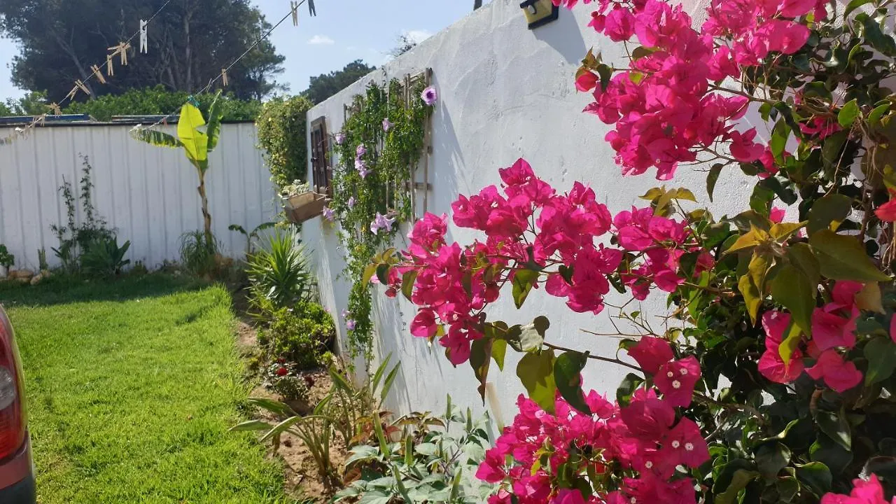 Casa Pelicano Chiclana de la Frontera Nyaraló